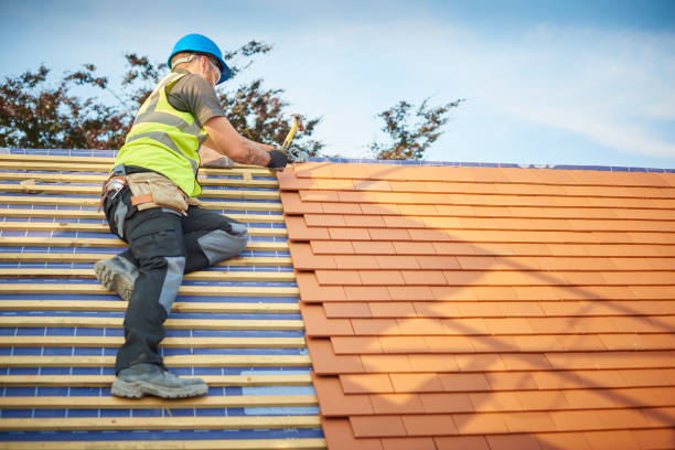 Best Skylight Installation and Repair  in Antioch, CA